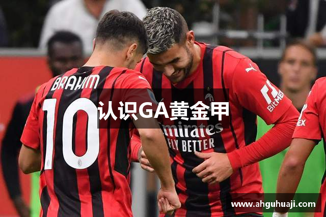 认识GA黄金甲